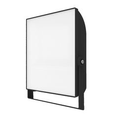 100W / Ánh sáng trắng