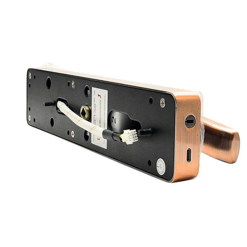 Khóa cửa thông minh cao cấp tay gạt Demax SL-C320, có app Wifi, xuất xứ Malaysia