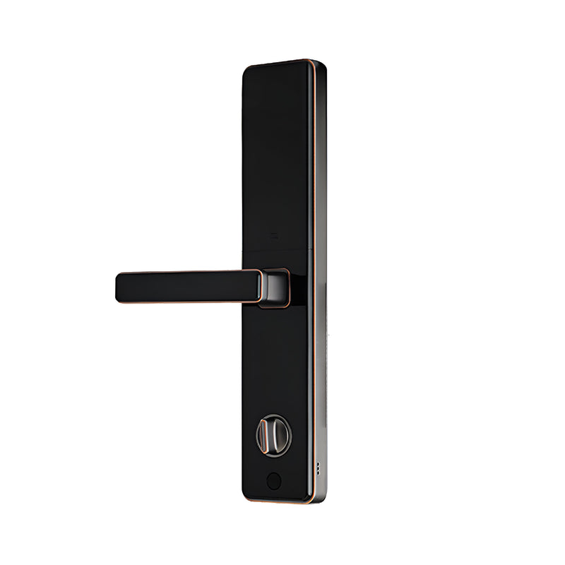 Khóa điện tử Việt Tiệp 28384 tích hợp vân tay, mật khẩu, chìa cơ và thẻ từ