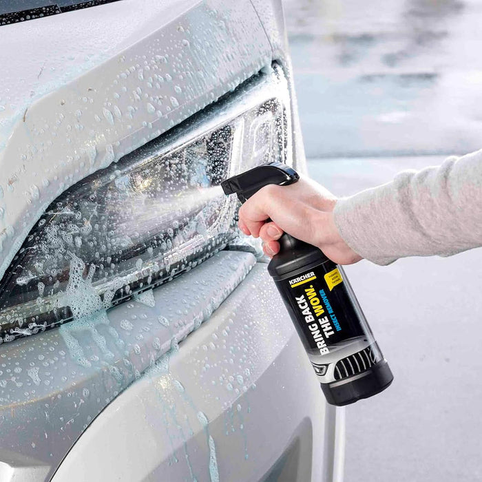 Dung dịch tẩy rửa vết bám côn trùng Karcher RM 618 dung tích 500ml