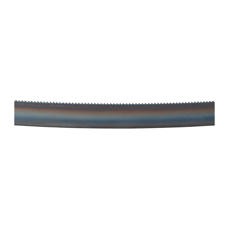 Hộp 3 lưỡi cưa vòng HCS Makita dùng cho gỗ, chiều dài 2240mm, số răng từ 4-6 TPI, răng cưa ( Cấp 3 sao )