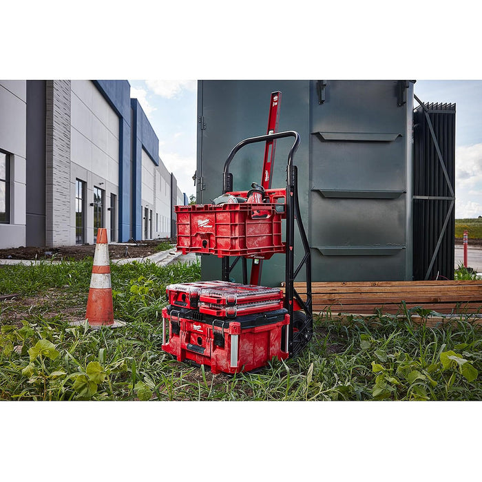 Hộp đựng linh kiện PACKOUT Milwaukee 48-22-8431 loại 10 ngăn