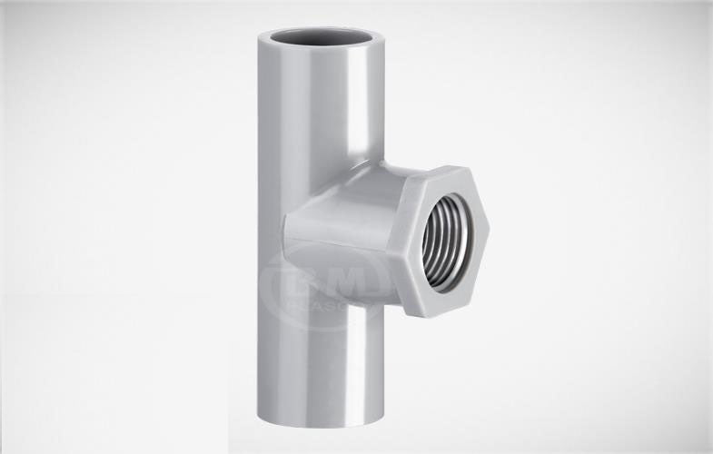 T 27 Ren Trong 21 Bình Minh (27xRT21)